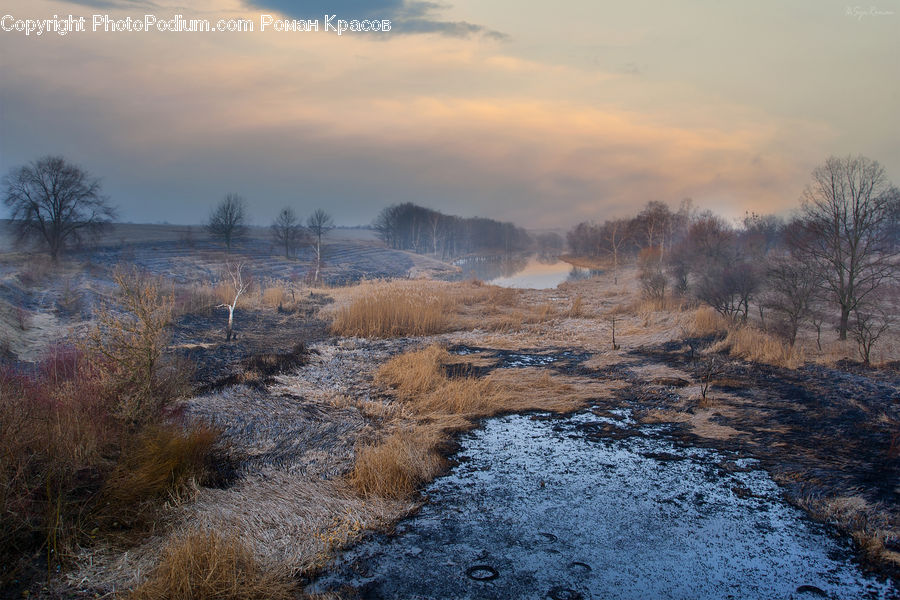 Frost, Ice, Outdoors, Snow, Field, Grass, Grassland