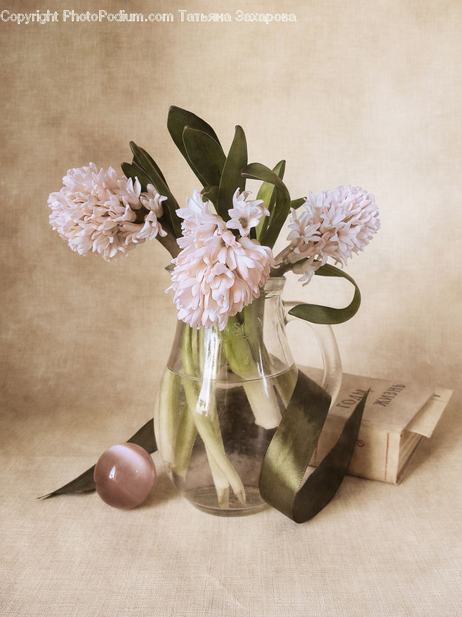 Gift, Blossom, Flower, Lilac, Plant, Flora, Paper
