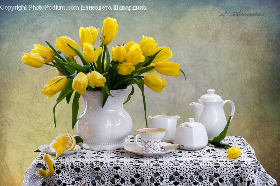Jar, Porcelain, Vase, Glass, Goblet, Flower, Flower Arrangement