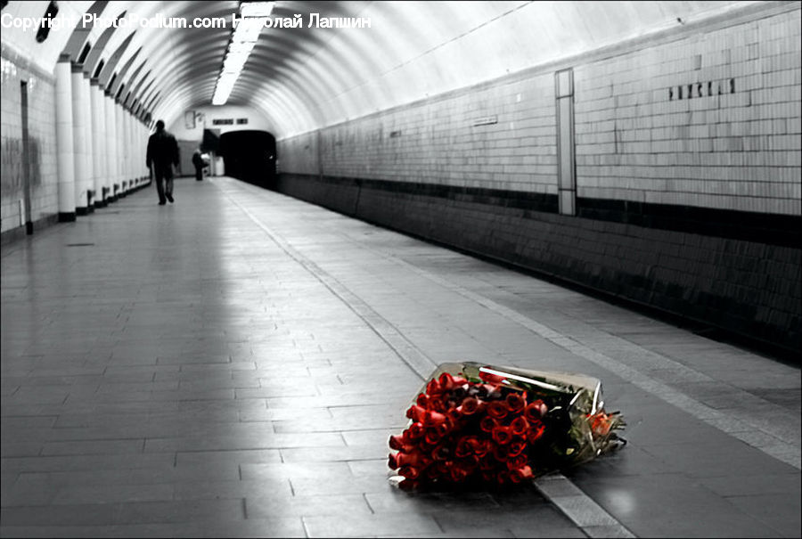 Motor, Motorcycle, Vehicle, Tunnel, Fruit, Pomegranate, Subway
