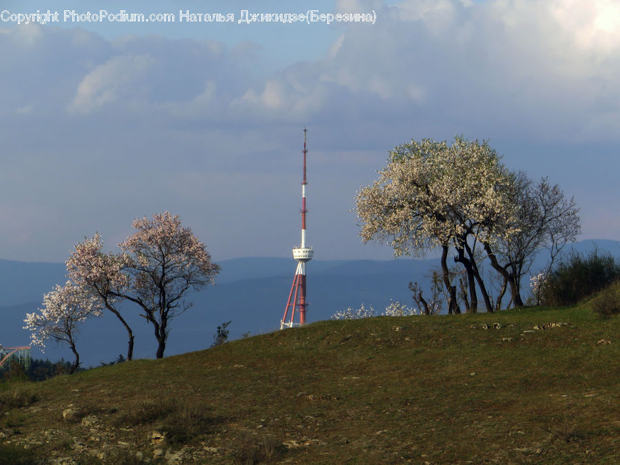 Grassland, Mound, Beacon, Building, Lighthouse, Water Tower, Architecture