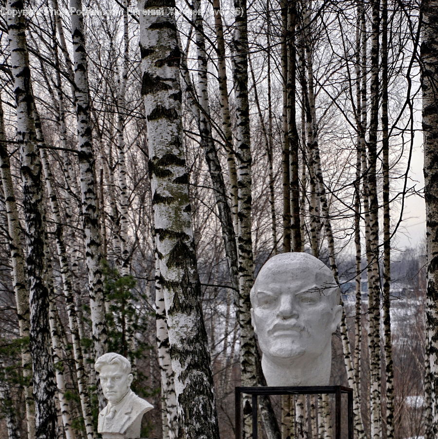 People, Person, Human, Buddha, Shrine, Temple, Art