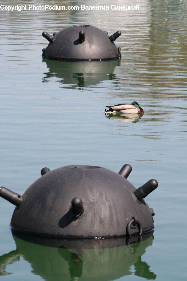 Submarine, Water, Eating, Boat, Dinghy, Bird, Duck