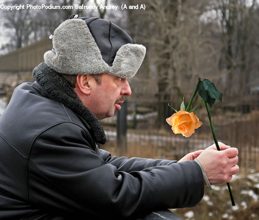 People, Person, Human, Blossom, Flower, Plant, Rose