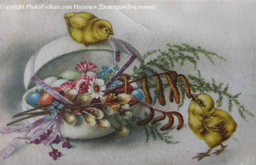 Bird, Finch, Embroidery, Canary, Accessories, Wren, Art