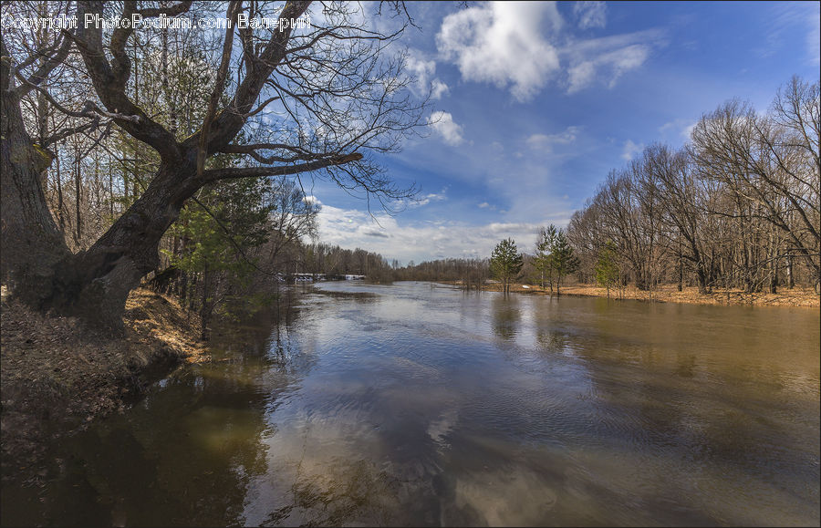 Outdoors, River, Water, Plant, Tree, Flood, Creek