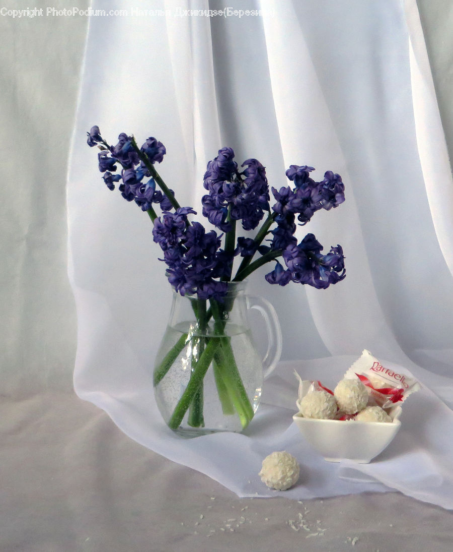Glass, Goblet, Flower, Flower Arrangement, Flower Bouquet, Ikebana, Plant