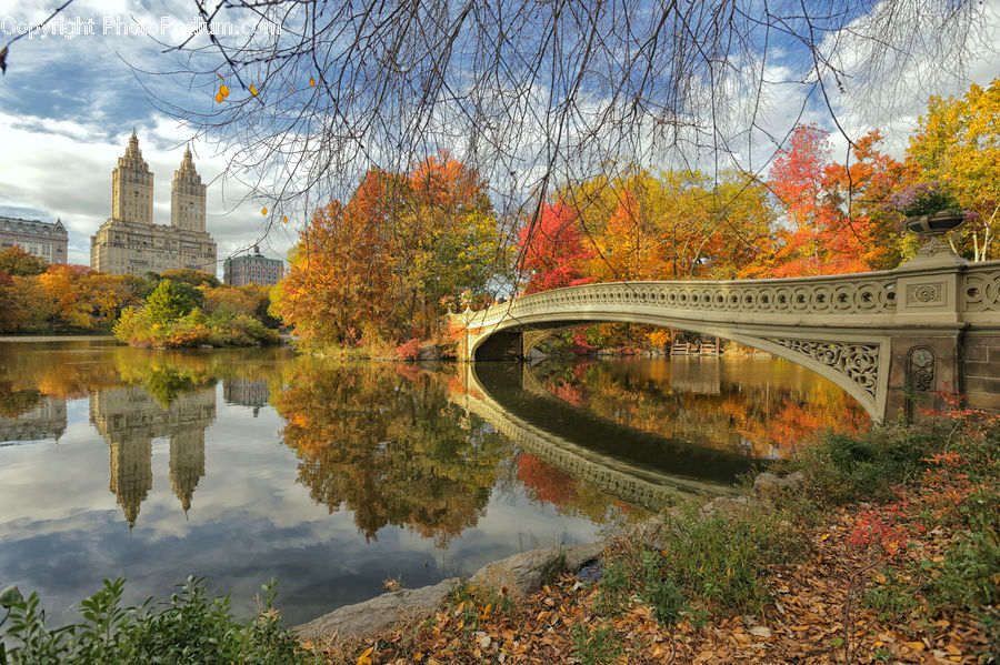 Bridge, Canal, Outdoors, River, Water, Pond, Plant