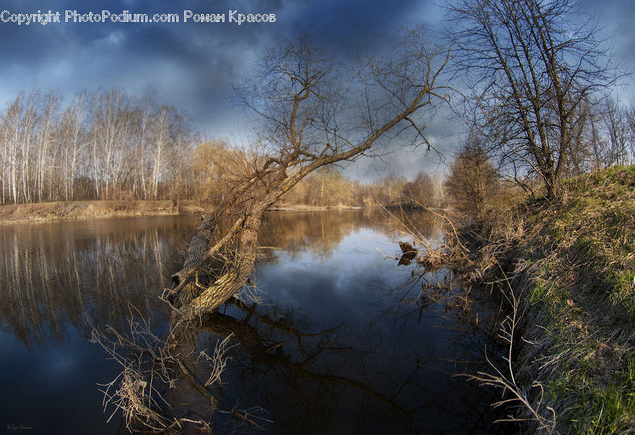 Land, Marsh, Pond, Swamp, Water, Ground, Soil