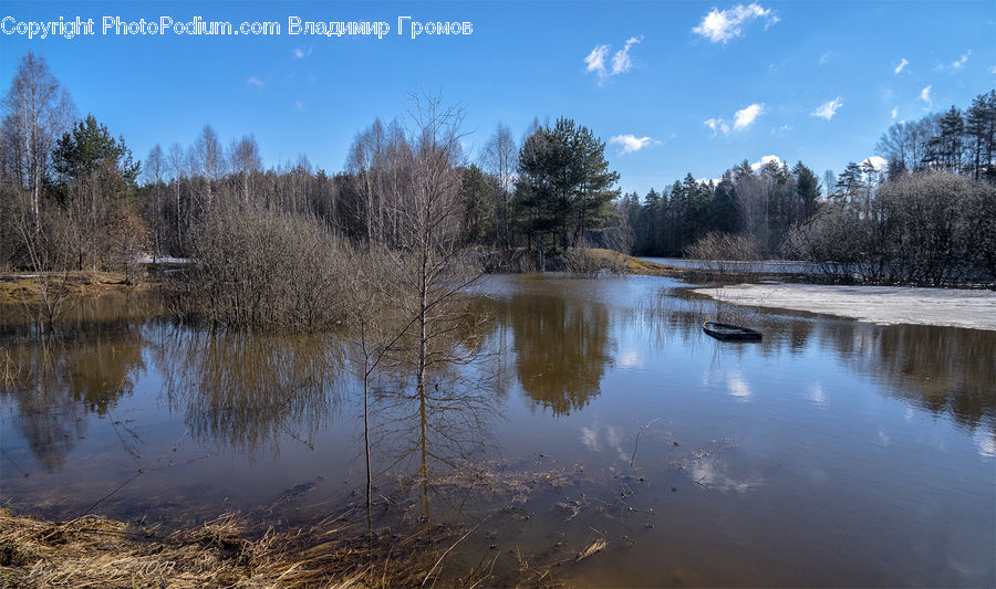 Outdoors, Pond, Water, Land, Marsh, Swamp, Lake