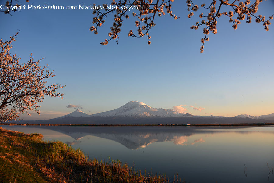 Dawn, Dusk, Sky, Sunrise, Sunset, Blossom, Cherry Blossom