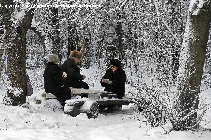 Human, People, Person, Ice, Outdoors, Snow, Bench