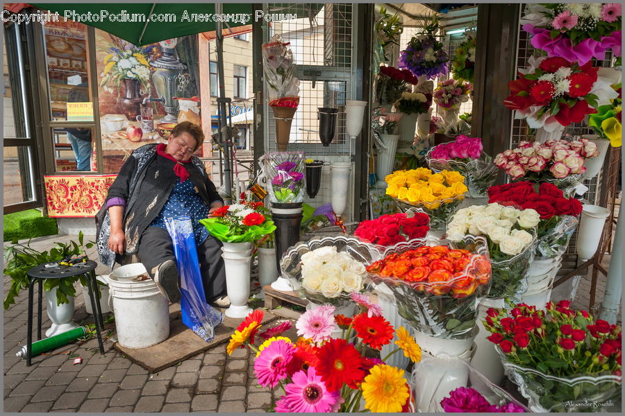 Plant, Potted Plant, People, Person, Human, Bazaar, Market