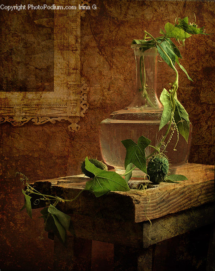 Ivy, Plant, Vine, Lumber, Leaf, Herbal, Herbs