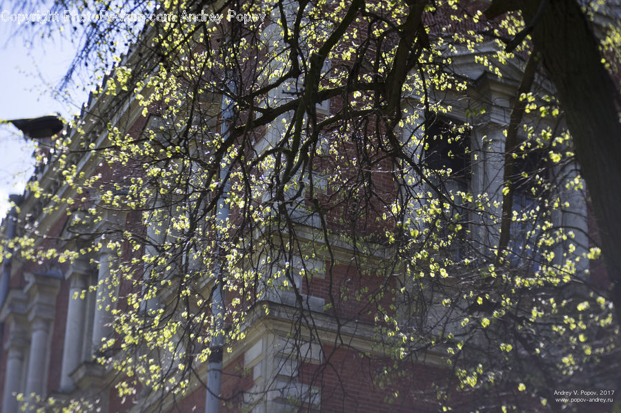 Architecture, Bell Tower, Clock Tower, Tower, Landscape, Nature, Patio