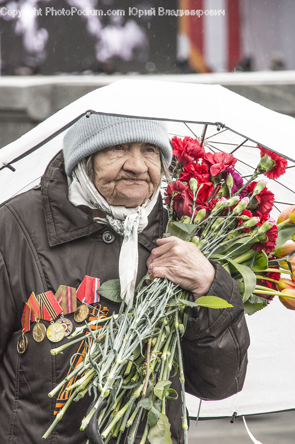 People, Person, Human, Plant, Potted Plant, Ice, Outdoors
