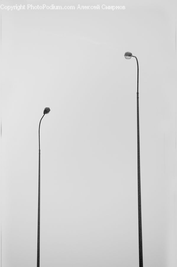 Lamp Post, Pole, Bird, Crane Bird, Heron