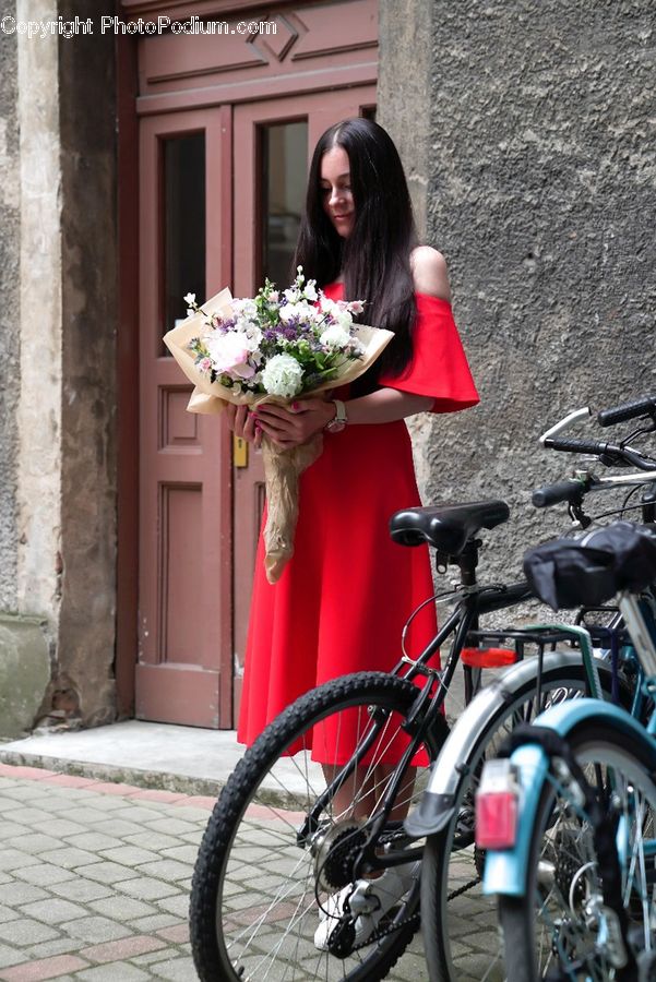 Flower, Flower Arrangement, Flower Bouquet, Bicycle, Bike, Vehicle, Motor