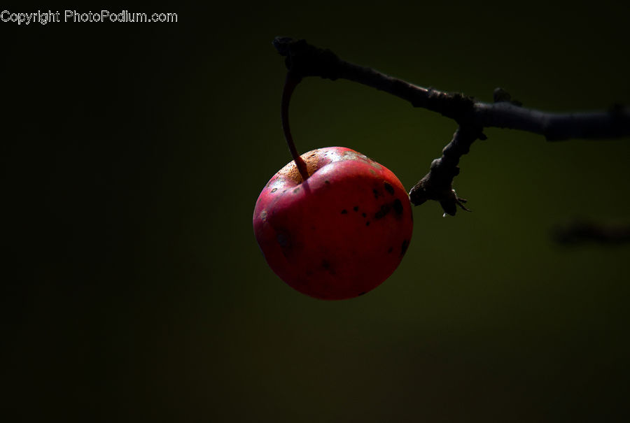 Cherry, Fruit, Grapes
