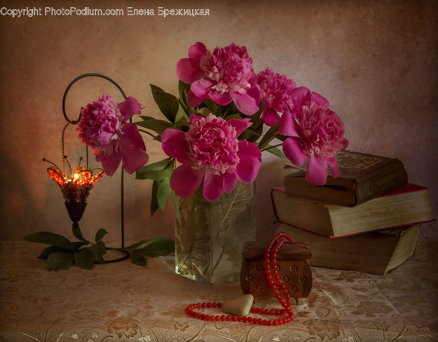 Gift, Flower Arrangement, Ikebana, Plant, Potted Plant, Vase, Jar