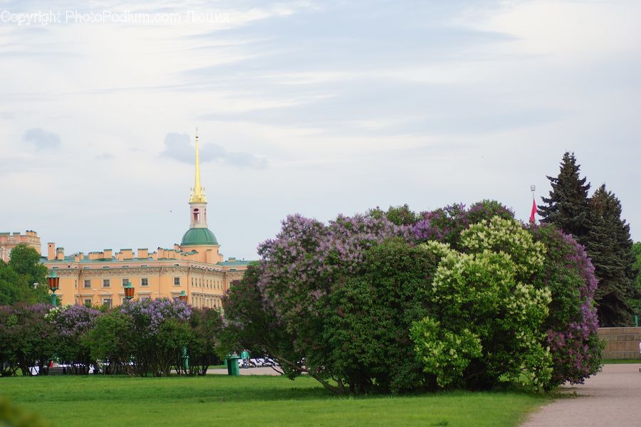 Blossom, Flower, Lilac, Plant, Architecture, Bell Tower, Clock Tower