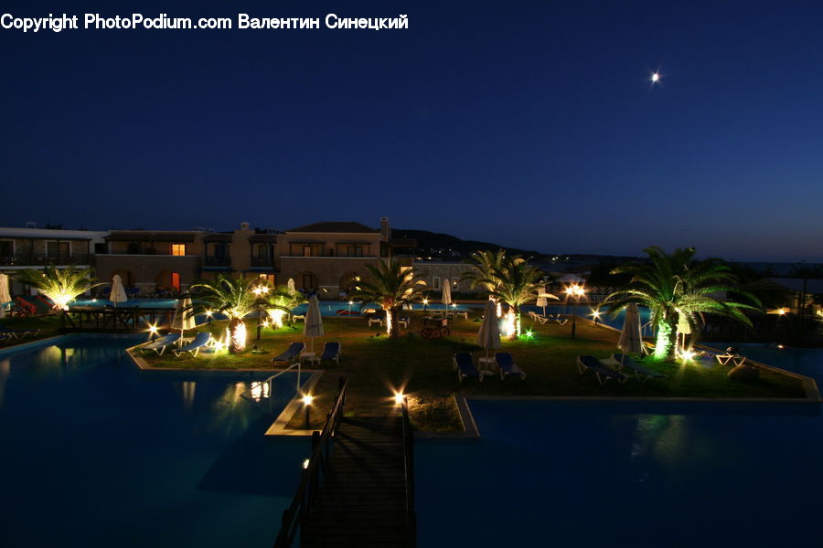 Hotel, Resort, Pool, Water, Plant, Potted Plant, Night