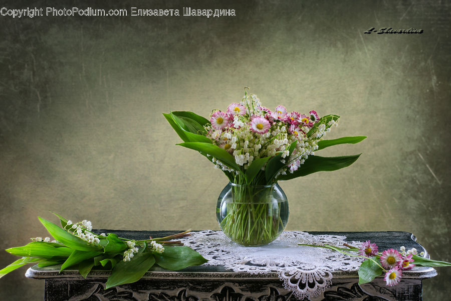 Plant, Potted Plant, Flower Arrangement, Ikebana, Vase, Blossom, Flora