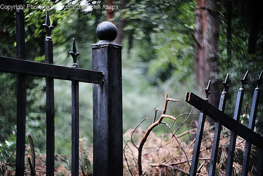 Railing, Animal, Zoo, Outdoors, Forest, Jungle, Plant