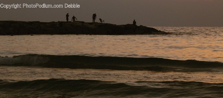 Beach, Coast, Outdoors, Sea, Water, Bird, Cormorant