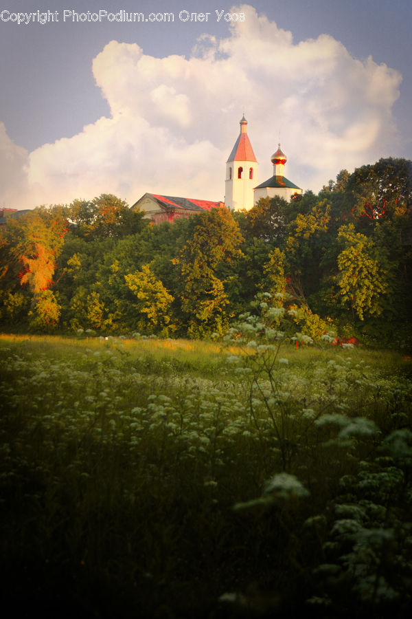 Architecture, Church, Worship, Forest, Vegetation, Building, Cottage