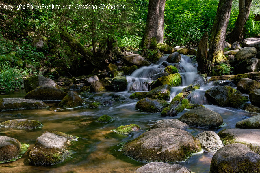 Creek, Outdoors, River, Water, Rock, Forest, Jungle