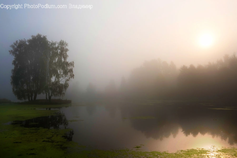 Fog, Mist, Outdoors, Dawn, Dusk, Sky, Sunrise