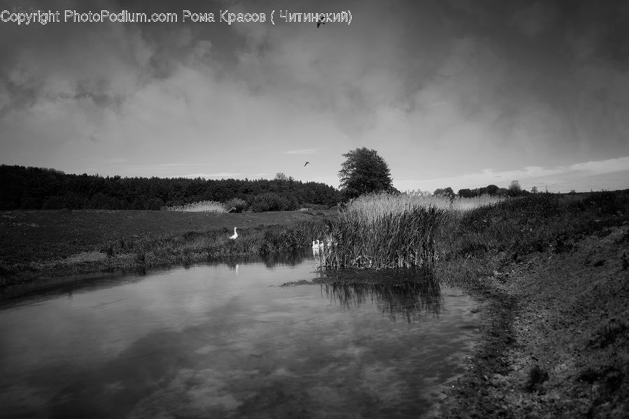 Outdoors, Storm, Weather, Countryside, Land, Marsh, Pond