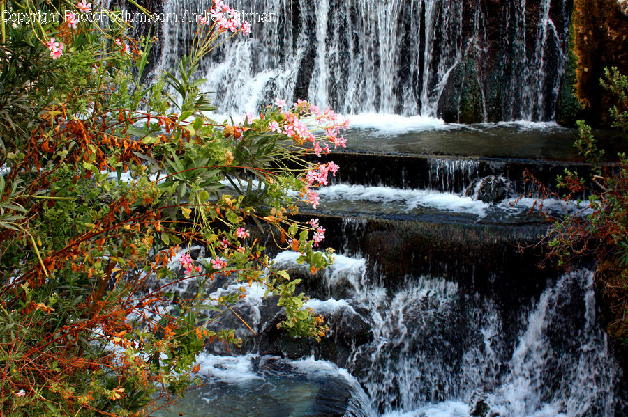 Creek, Outdoors, River, Water, Waterfall, Garden, Pond