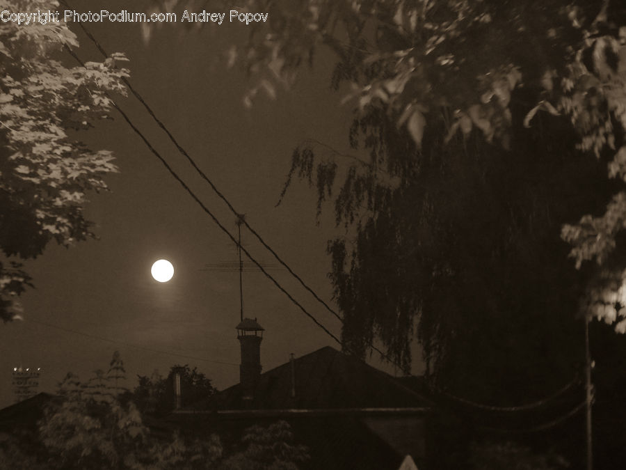 Astronomy, Full Moon, Night, Moon, Outdoors, Space, Soil