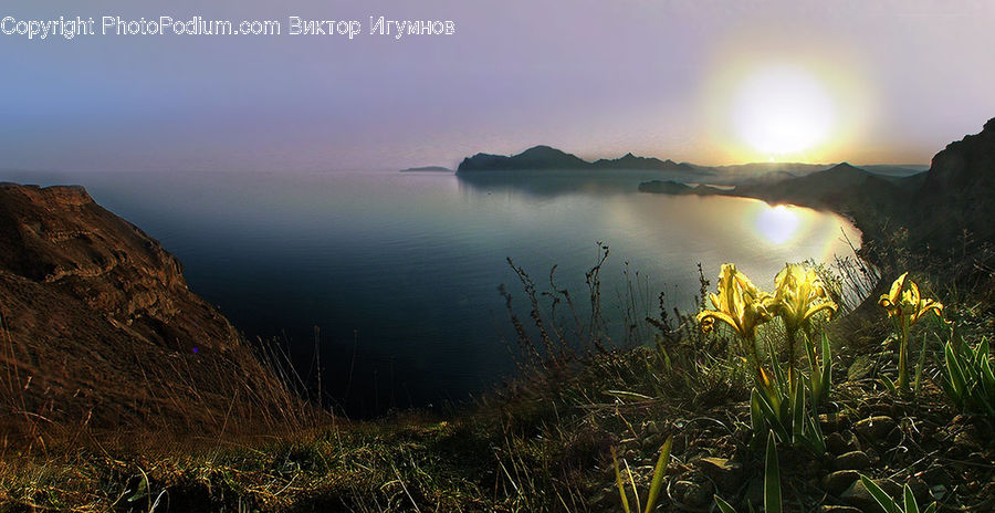 Dawn, Dusk, Sky, Sunrise, Sunset, Blossom, Flora