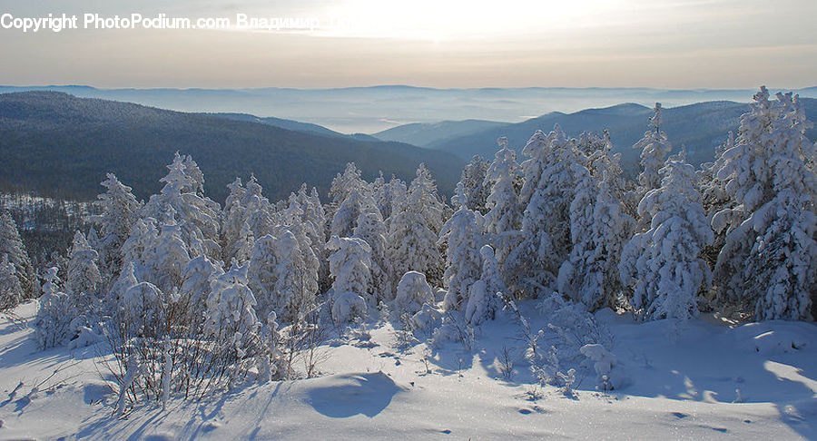 Ice, Outdoors, Snow, Crest, Mountain, Peak, Conifer