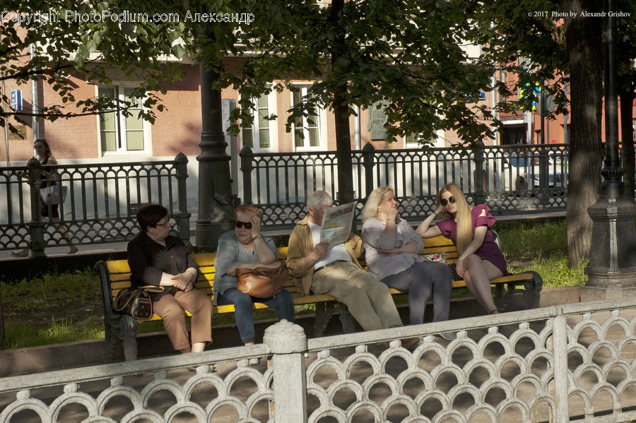 People, Person, Human, Bench, Blonde, Female, Woman
