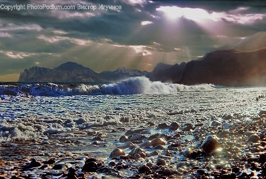 Outdoors, Sea, Sea Waves, Water, Animal, Mammal, Sea Life