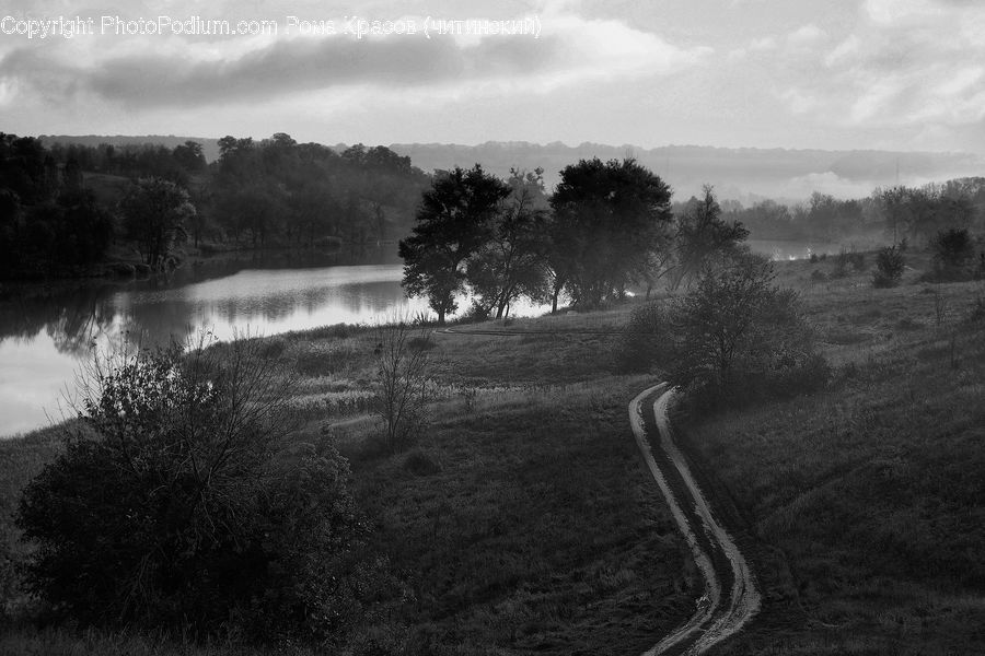 Countryside, Outdoors, Building, Housing, Villa, Forest, Vegetation