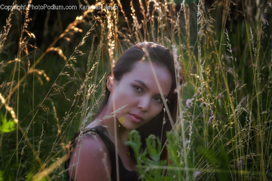 People, Person, Human, Field, Grass, Grassland, Plant