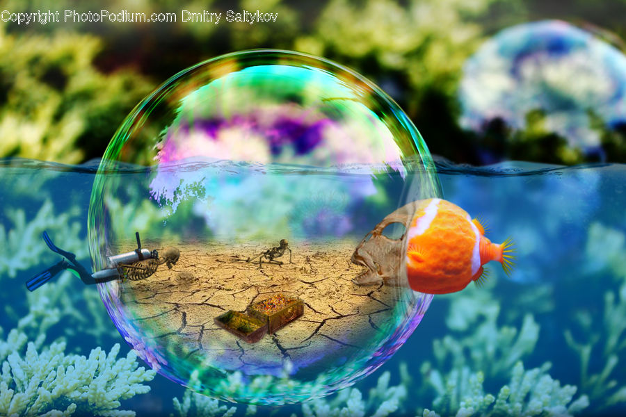 Bubble, Sphere