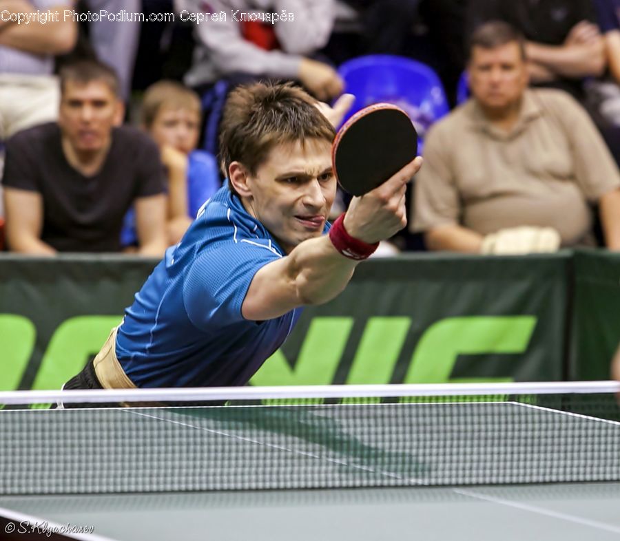 People, Person, Human, Ping Pong, Sport, Crowd, Cup