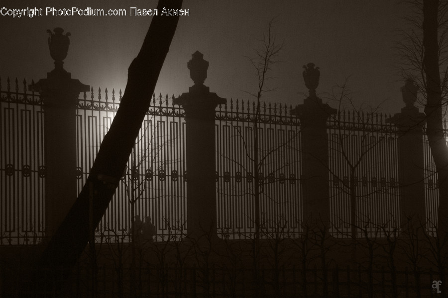 Fence, Plant, Tree, Silhouette, City