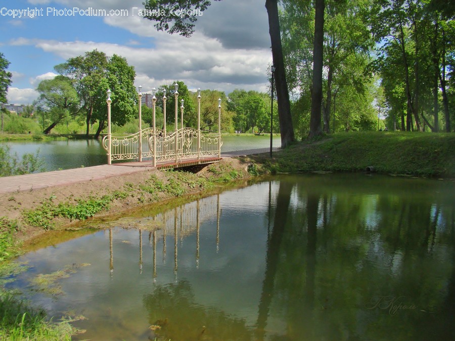 Outdoors, Pond, Water, Field, Grass