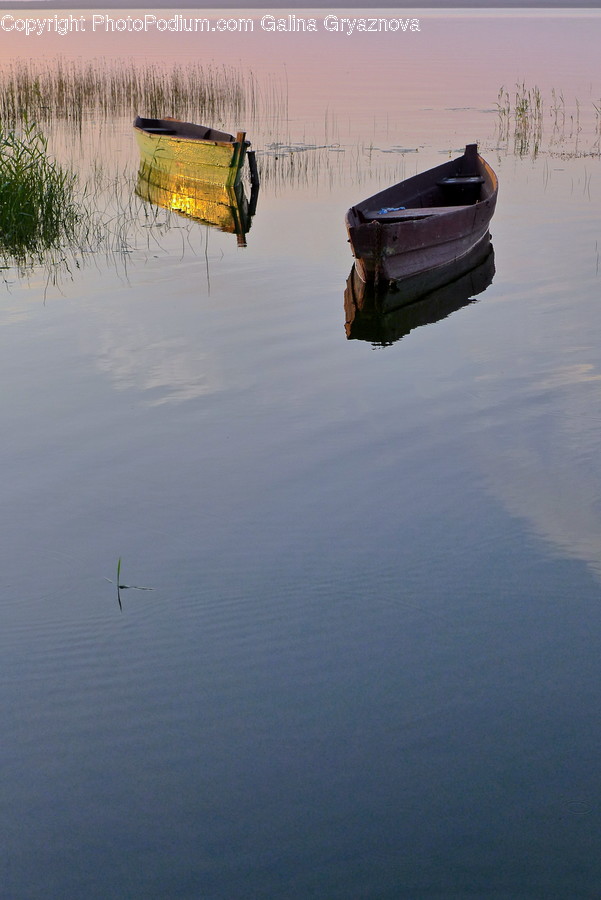 Boat, Watercraft, Dinghy, Land, Marsh