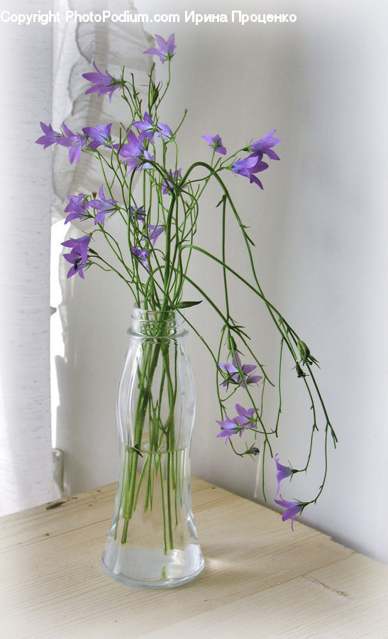 Flower Arrangement, Ikebana, Plant, Potted Plant, Vase, Blossom, Crocus