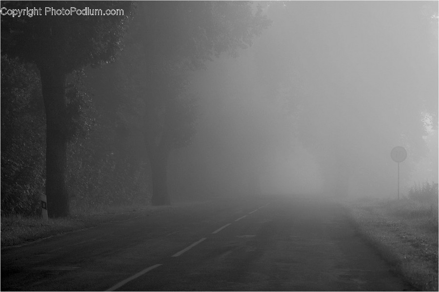 Fog, Mist, Outdoors, Dirt Road, Gravel