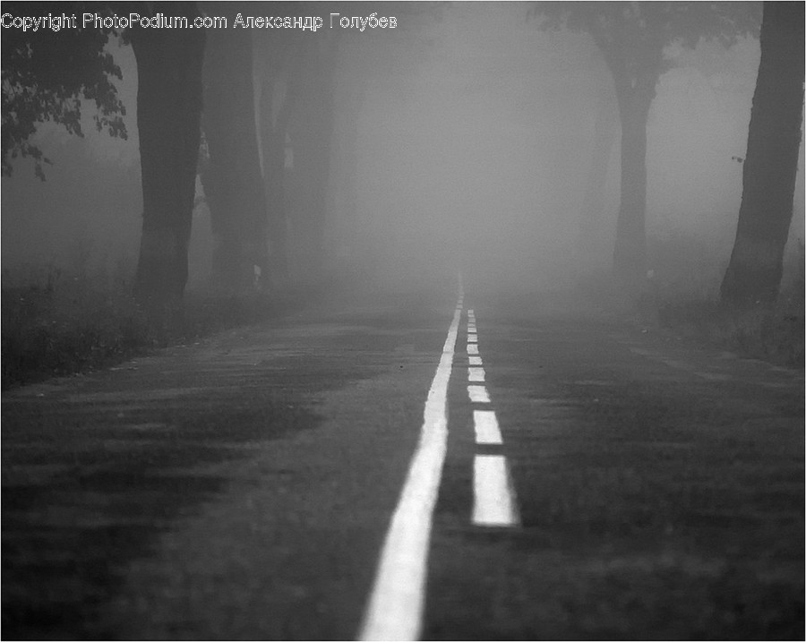 Fog, Road, Mist, Outdoors, Flare