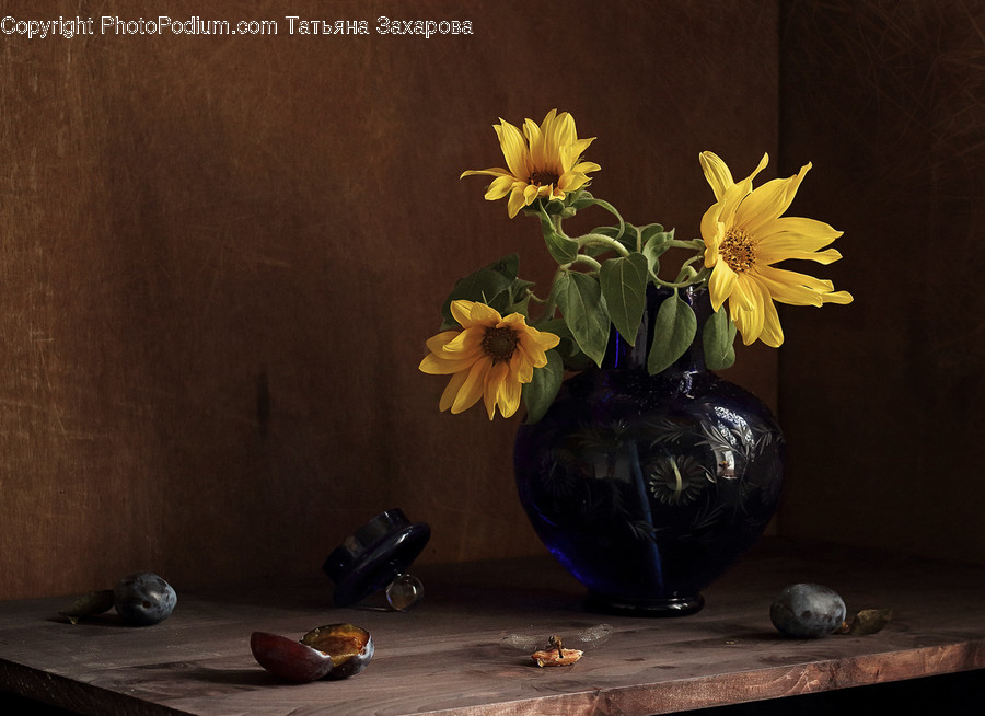 Plant, Potted Plant, Jar, Porcelain, Vase